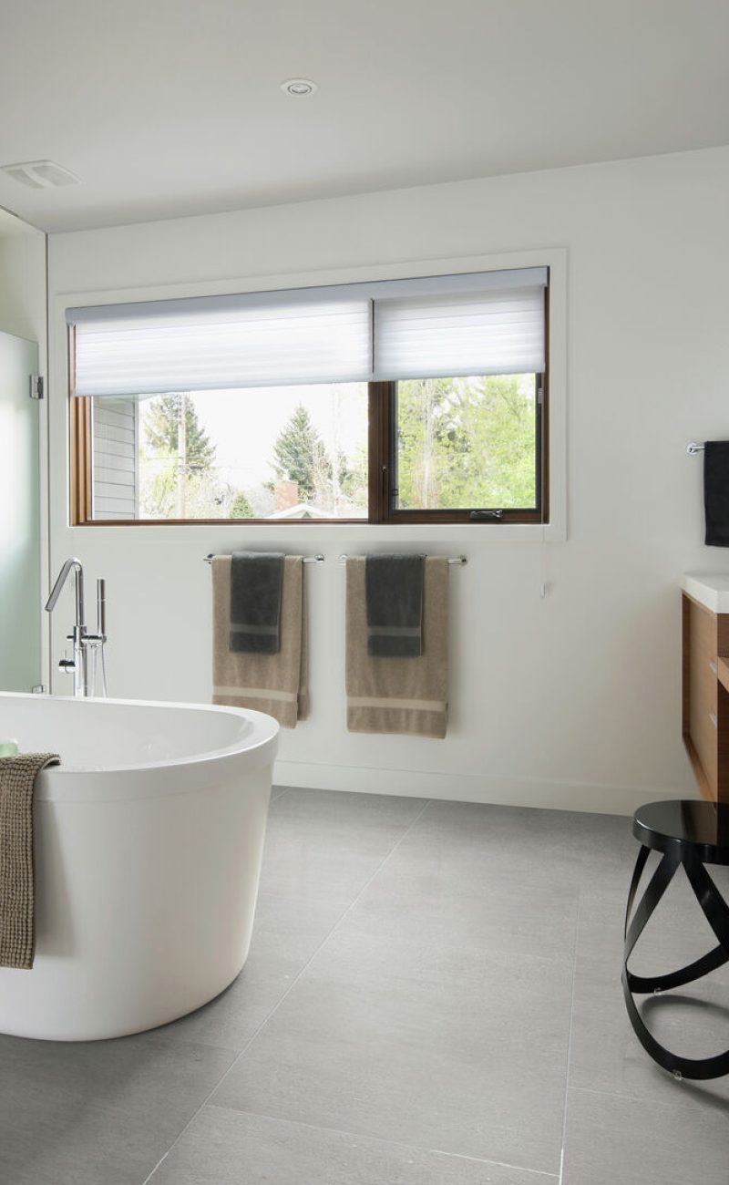 Home showcase modern bathroom with soaking tub
